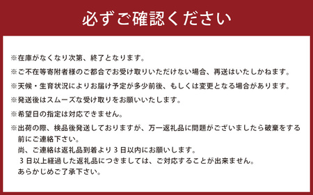 【先行予約】牟田農園の夢しずく 10kg （5kg×2袋） 【令和8年産】 ＜精米＞ 新米 予約 令和8年 米 夢しずく 10kg 5kg 牟田農園 佐賀県太良町産 佐賀県 太良町 PE12x1
