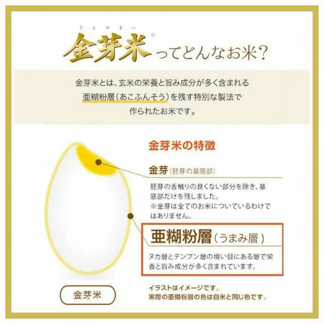 【6ヶ月定期便】金芽米 生坂村産コシヒカリ 無洗米 5kg 長野県産|  コシヒカリ