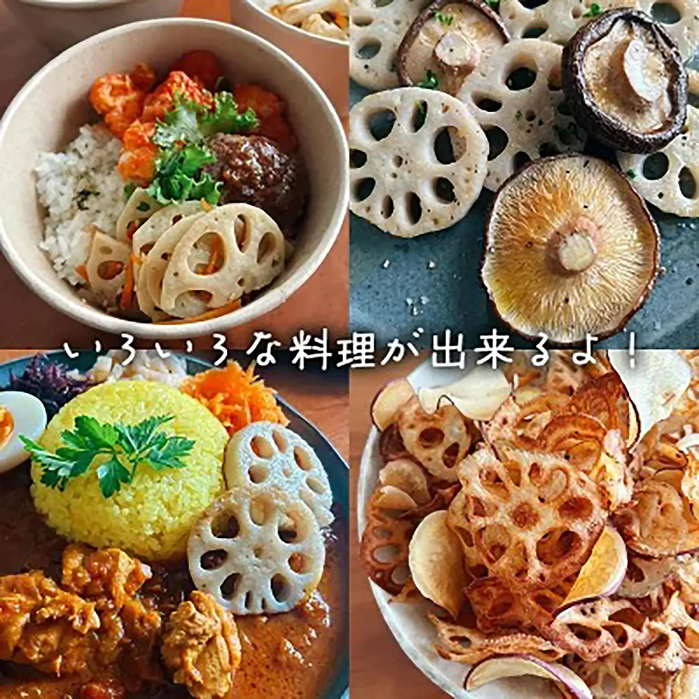 れんこん 朝採れ 4kg れんこん