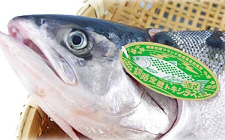 トキシラズ 約4kg 鮭 サケ 魚 トキシラズ 生鮮 北海道 釧路市 F5F-0111