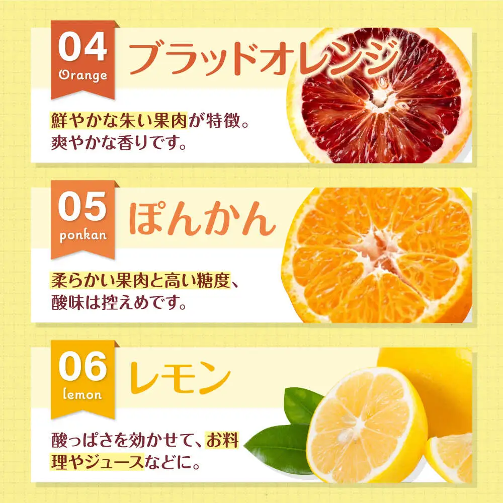 柑橘【3月上旬発送】柑橘おまかせセット[AGBN053]