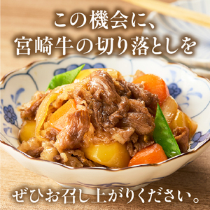 訳あり A4等級以上 宮崎牛切り落とし 500g×2P 計1kg 内閣総理大臣賞 A4 A5 宮崎牛 牛肉 