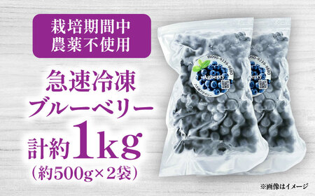 青い宝石国産急速冷凍 ブルーベリー 計約1kg ブルー ベリー BHCX005
