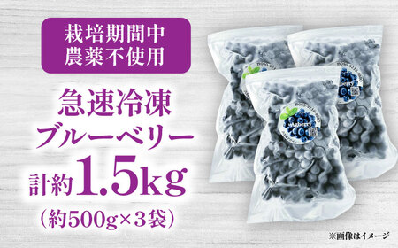 ブルーベリー 青い宝石国産急速冷凍 ブルーベリー 計約1.5kg BHCX006