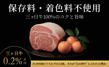 次元ハンバーグ120g×6個 【配送不可：離島】金乃縁 ハンバーグ 冷凍 国産 三ヶ日牛 牛肉 トリュフ風味 ギフト 冷凍食品 惣菜 静岡 浜松市