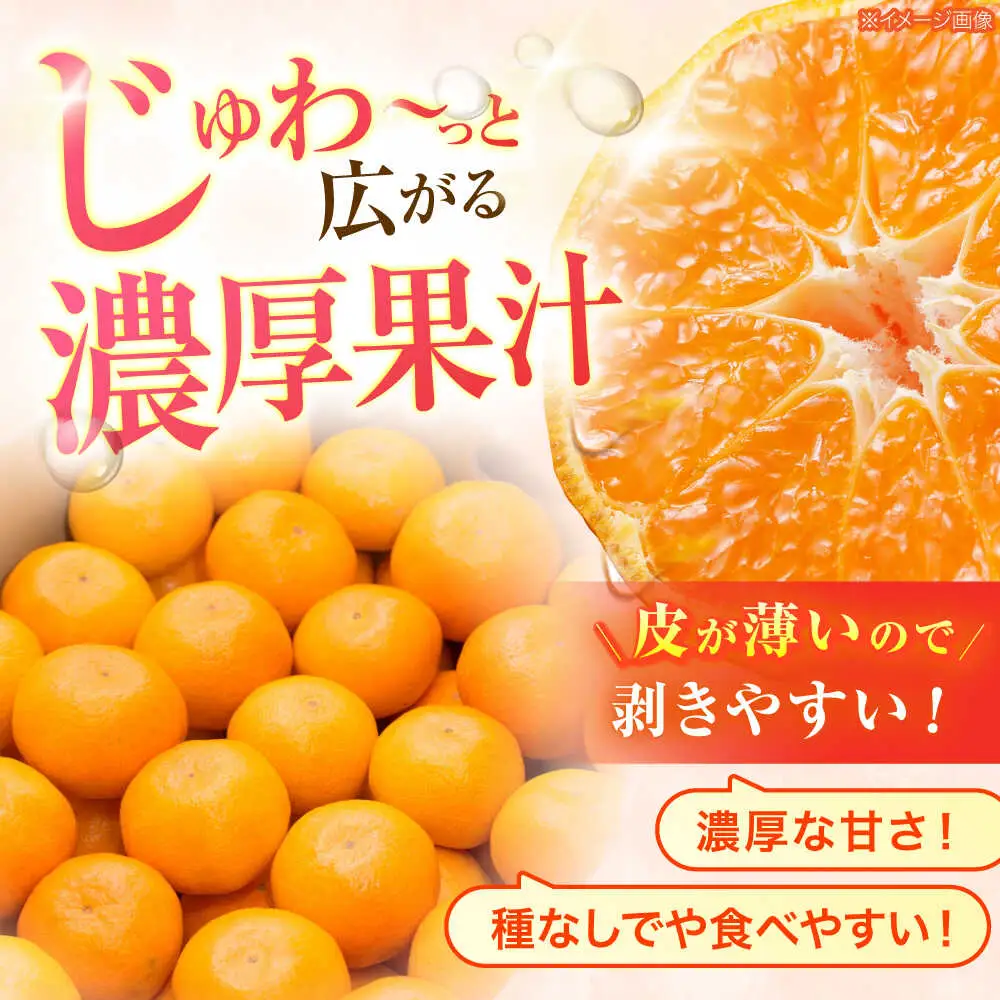 【2回定期便】※【2026年シーズン発送／先行予約】フルーツ定期便 シャインマスカット 約1.3kg(2房から3房) / 温州みかん(10kg) 家庭用 / フルーツ フルーツ定期便 果物定期便 シャインマスカット みかん / 諫早市 / 肥前グローカル株式会社[AHDI012]