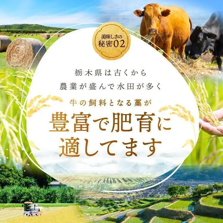 [定期便3回]宮福笑牛(とちぎ和牛) A5 サーロインステーキ 200g×4枚｜数量限定 黒毛 和牛 お肉 栃木県共通返礼品 栃木県産