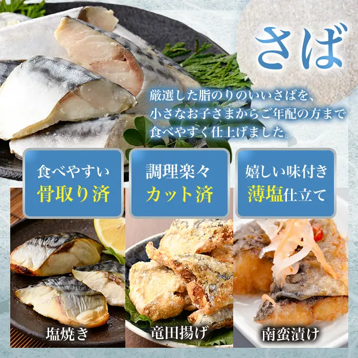 【定期便・全6回(連続)】骨取り さば切身と鮭カットのセット(総量約4kg) 小分け 冷凍  魚  【AW-106】【丸正水産】