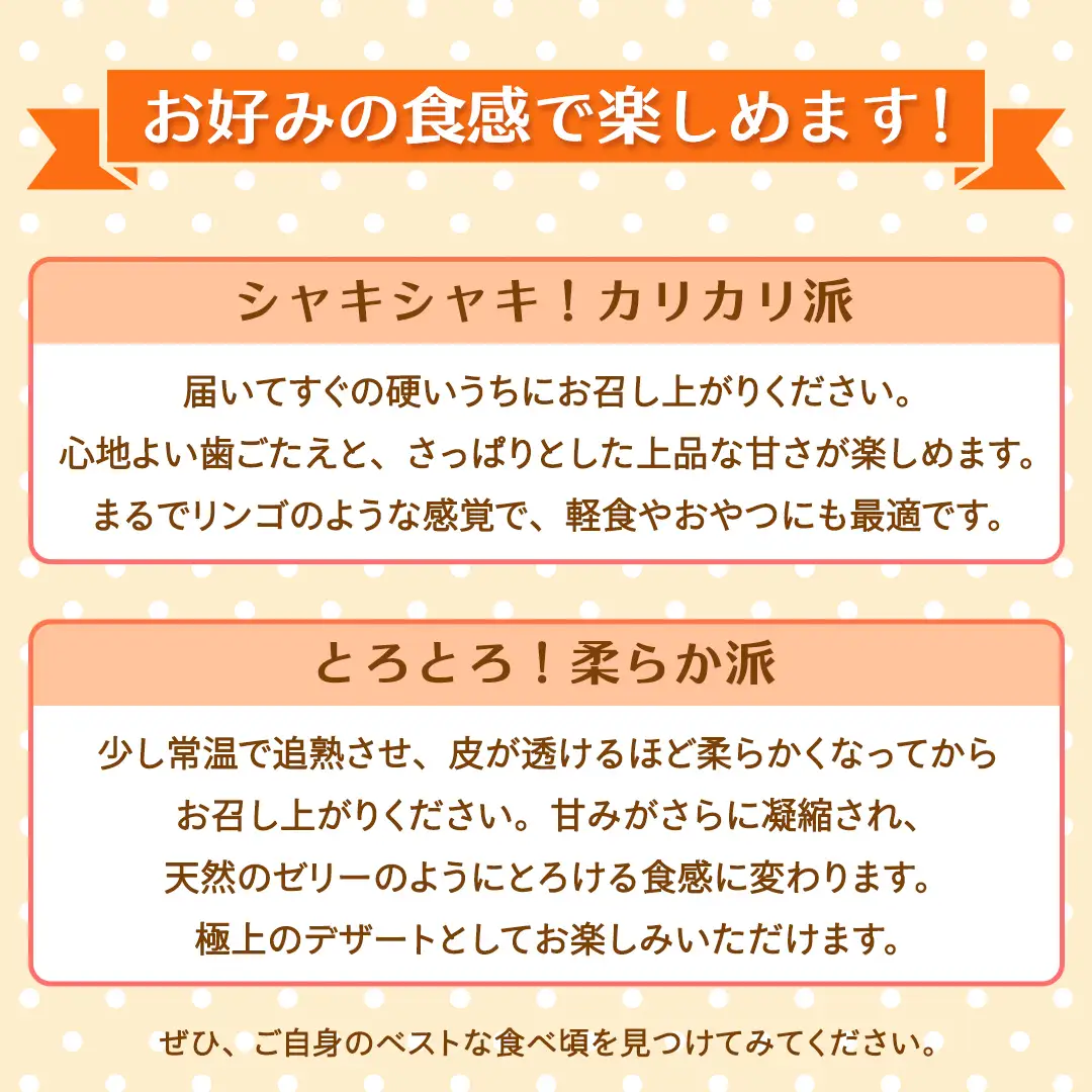 富有柿 2L以上 約10kg【2026年10月より発送開始】（茨城県共通返礼品 [柿]：大子町産）