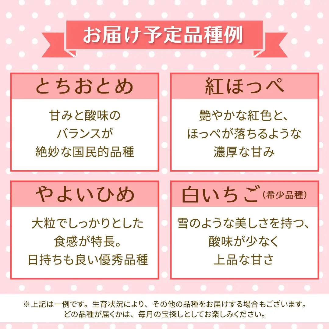 【定期便】いちご3ヶ月連続お届け便 （250g×4パック）×3回　【2027年1月から発送開始】（茨城県共通返礼品 [いちご]：城里町産）