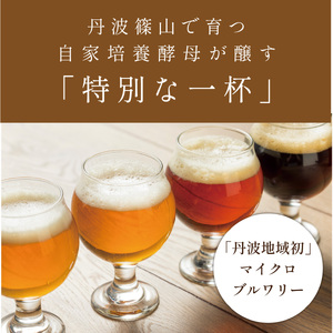 クラフトビール 〈芳香&フルボディ〉 飲み比べ（3種12本） ビール [ZIG04]