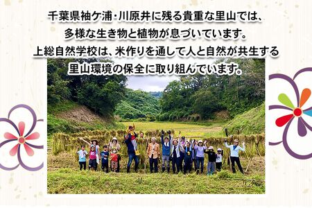[農薬不使用] 里山の自然で育てた「禅寺の色々米」300g [0691]