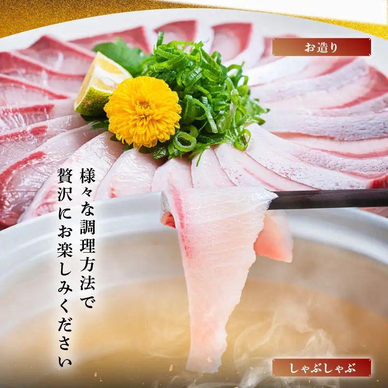 【先行予約】若狭・日向の天然寒ブリ 脂たっぷり（8kg以上）一本物 内臓処理 血抜き済み 寒ぶり【2026年12月下旬以降順次発送予定】[m17-l001]