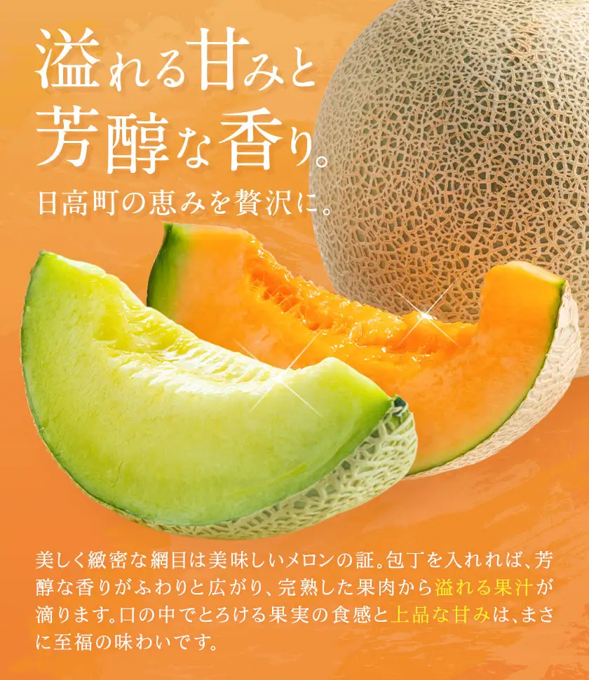 先行予約 日高メロン  2玉 のざわ農園 《7月上旬-8月中旬出荷》
