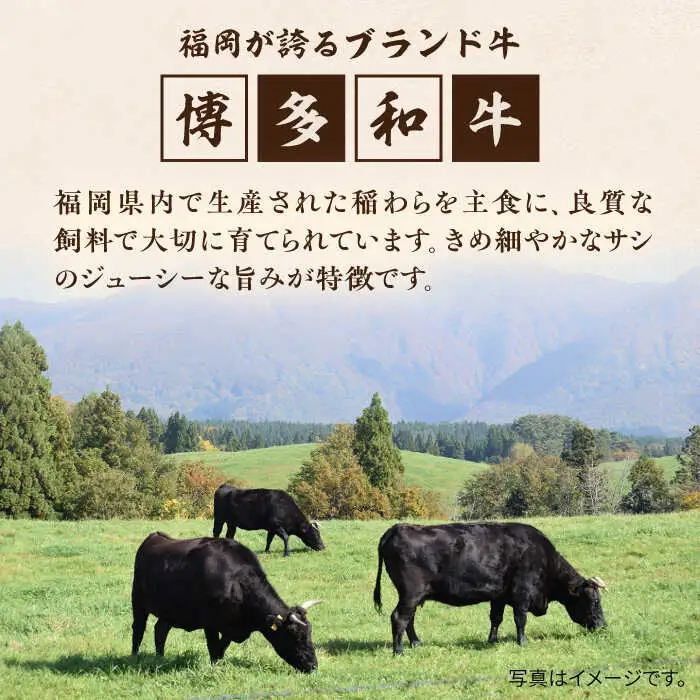 【全12回定期便】【A4/A5等級】博多和牛 切り落とし 2kg (500gｘ4P) 糸島市 / ヒサダヤフーズ 黒毛和牛 牛肉 スライス 雌牛[AIA104]