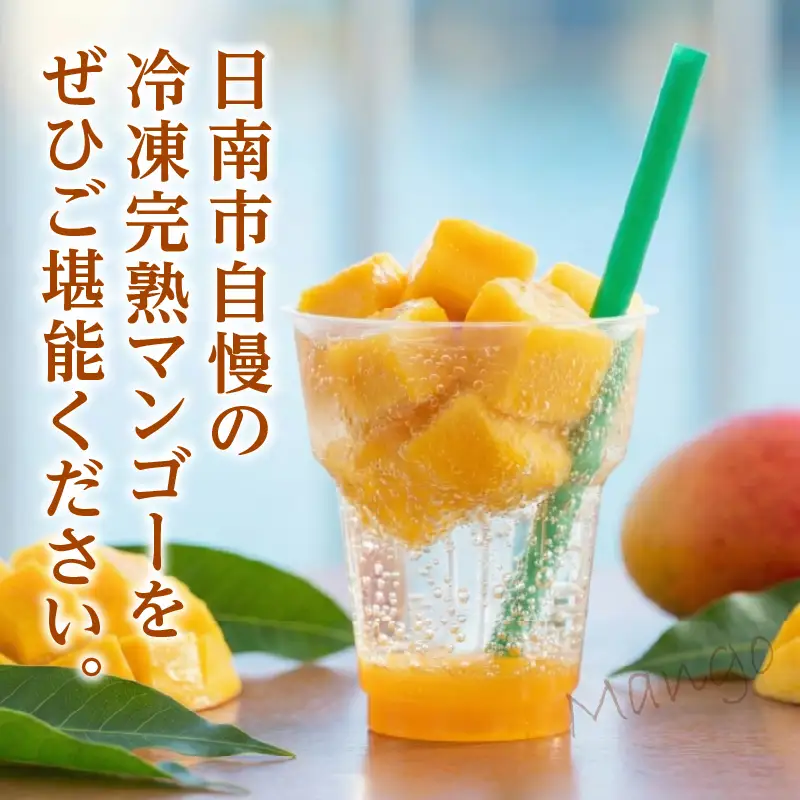 冷凍 カット マンゴー 計600g_CA94-25