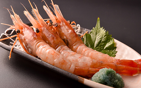 子持ち ボタン エビ 500g(9尾~10尾) 北海道産 えび mr1-1265