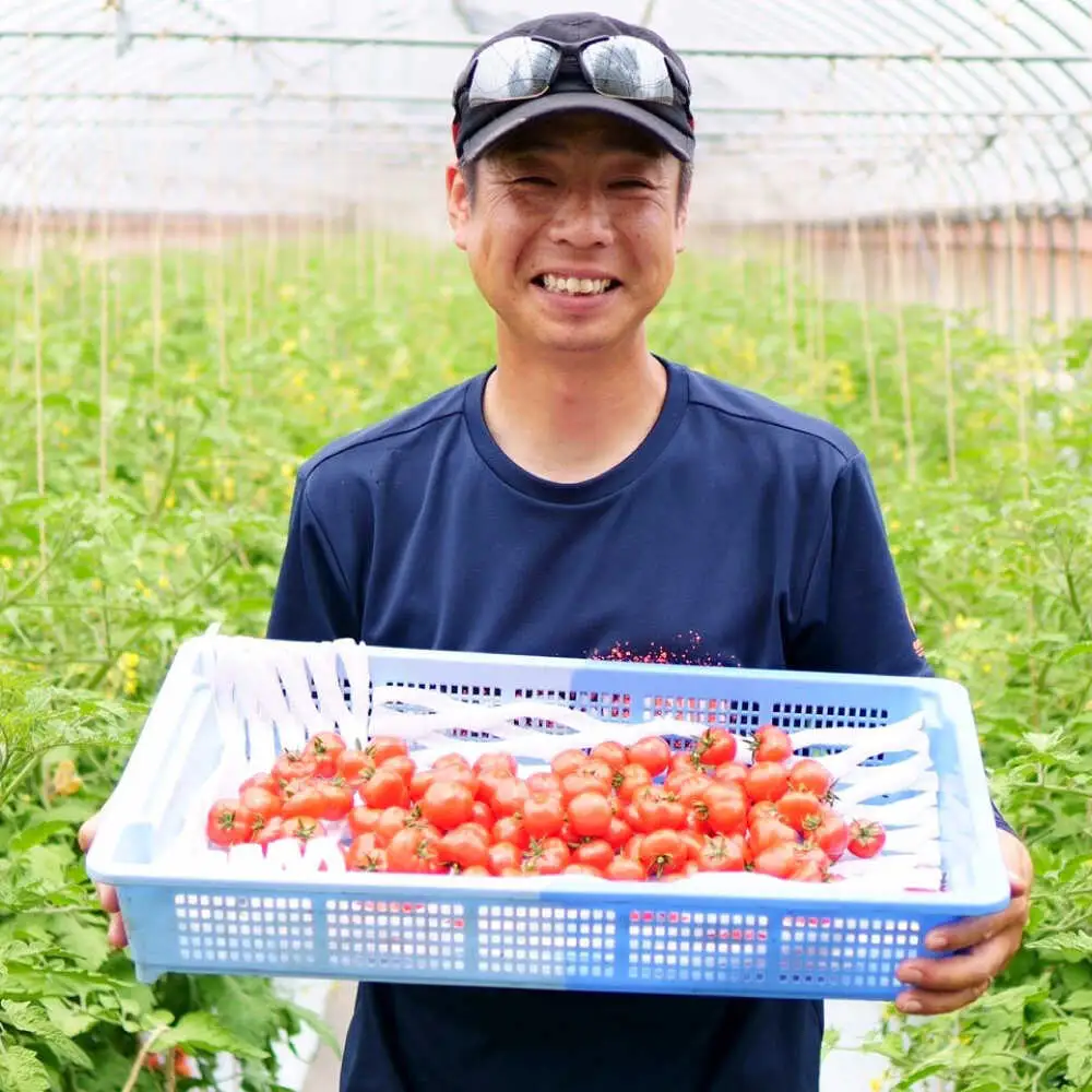赤いチェリートマトジュース180ml×5本 島根県松江市/有限会社安藤農園[ALID001]
