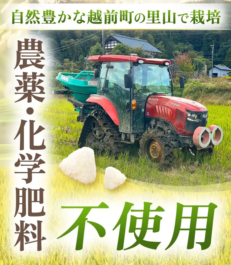 新米【令和8年産 】 特別栽培米コシヒカリ5kg 農薬化学肥料不使用（玄米）【10月中旬以降発送】 [e81-b003_02]