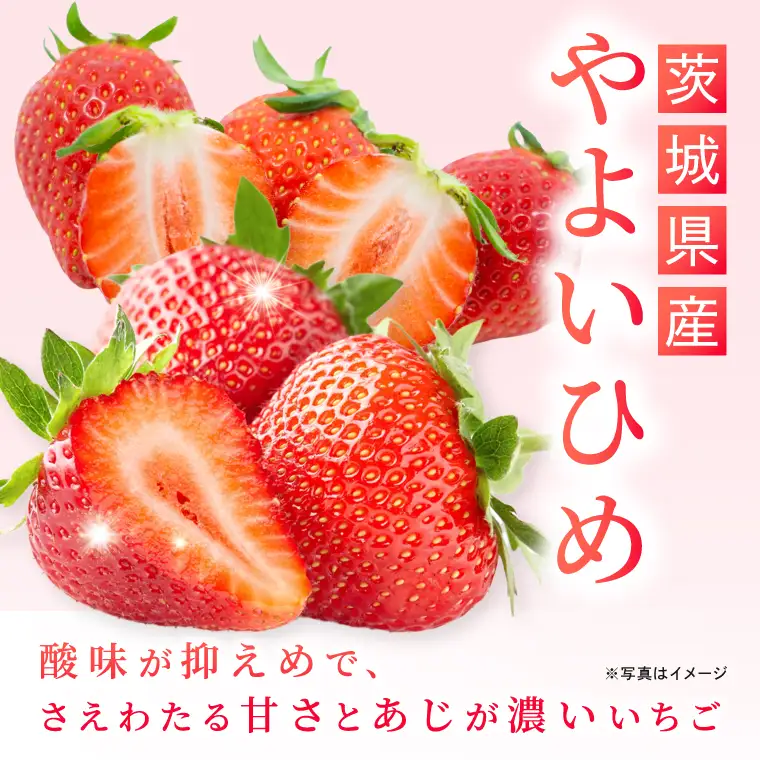 いちご とちおとめ やよいひめ イチゴ 苺 食べ比べ 定期便 JAなめがたしおさい直送 大粒 酸味 甘さ 減農薬 果物 フルーツ 冬 旬 【茨城県共通返礼品/行方市産】【先行予約｜2026年2月より順次発送】(96-03)