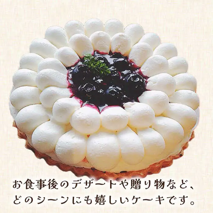 【舌にあふれる季節感♪こだわりのサクサクタルト】ブルーベリーとムースフロマージュのタルト / タルト たると ケーキ タルトケーキ スイーツ デザート / 南島原市 / アトリエジジ [SAA005]