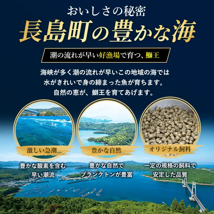 ぶりの王様「 鰤王 」 新物 スキンレスポーション 4P入り 冷蔵 でお届け ぶり ブリ 鰤 ぶりしゃぶ たたき 産地直送 新鮮 旨味が抜群の 長島町 特産品【JFA】jfa-1645