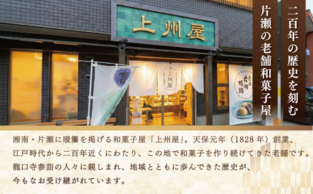 江ノ島 土産 ギフト 「 湘南 汐 セット 」 和菓子 詰め合わせ