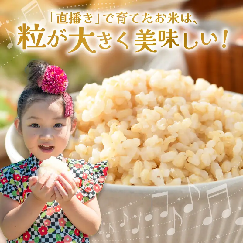 【先行予約】【令和8年産 新米】ワルツ農場の直播き コシヒカリ 玄米 5kg / お米 ご飯 つや 艶 甘味 旨み あわら市産 福井県産 慣行栽培 コメ 北陸 福井県 あわら市 ※2026年10月下旬以降発送予定 [aw046-a006]