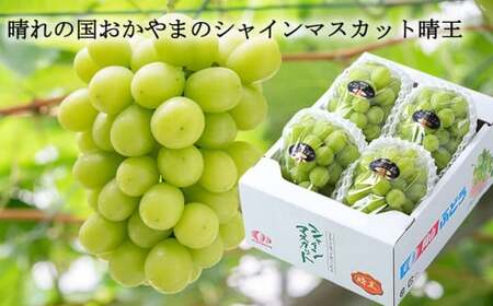 ご家庭用 シャインマスカット 晴王 3～6房 計約2kg 【2026年8月下旬～11月下旬迄発送】 ／ マスカット 葡萄 ぶどう 果物 果実 フルーツ 種なし 皮ごと 大粒 家庭用 岡山県 美咲町 冷蔵