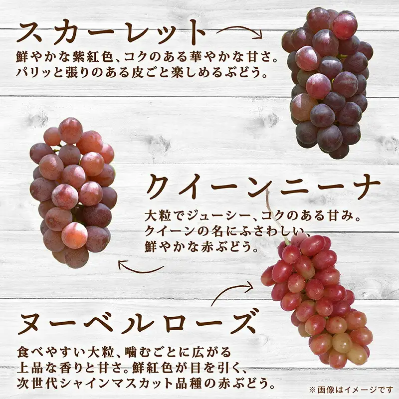 彩り豊かな完熟ぶどう バラ粒パックセット 1㎏【tbb01】