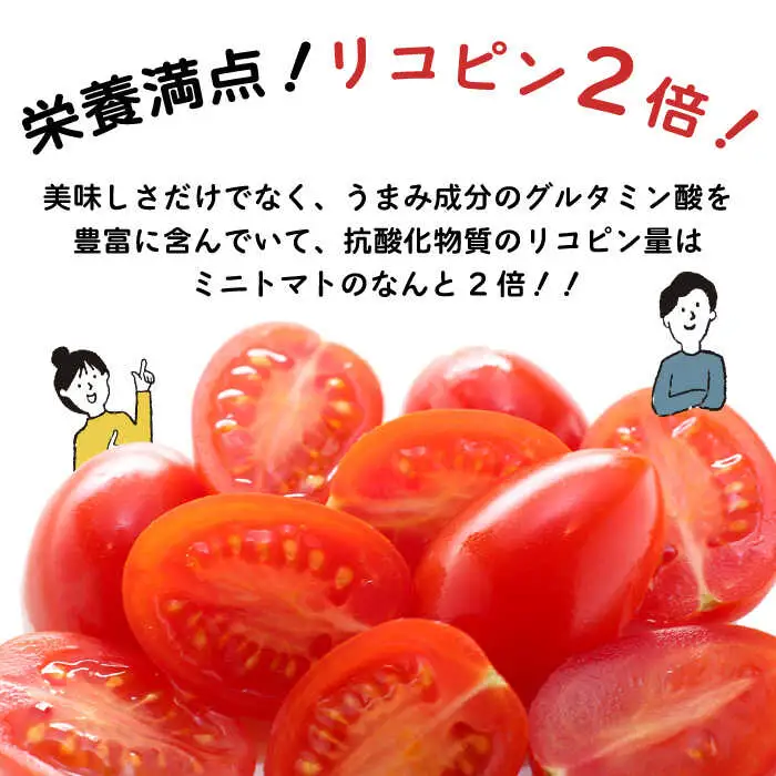 完熟アイコトマト 約3kg / トマト  [SCB052] 