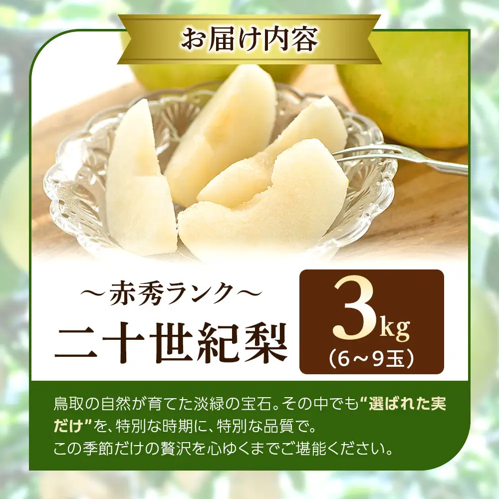 【ふるなびWEEK対象】二十世紀梨 3kg 先行予約 数量限定 梨