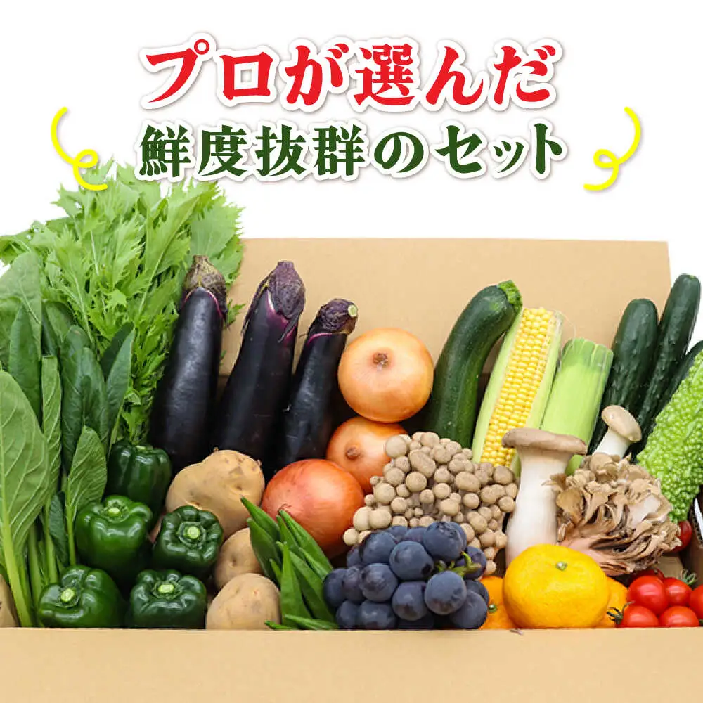 【6回定期便】【奇数月コース】野菜定期便 15品目以上 野菜 定期便[SCZ002]