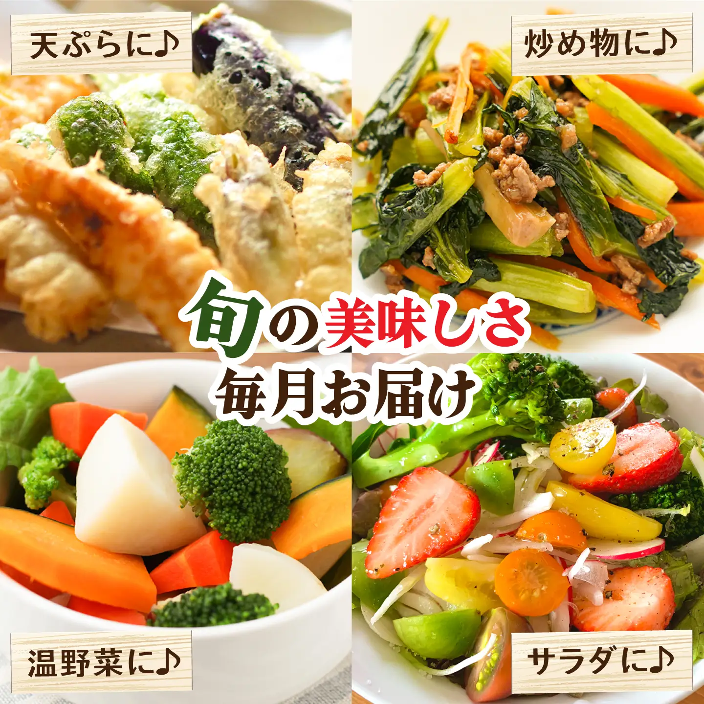 【12回定期便】野菜定期便15品目以上 [SCZ019] 