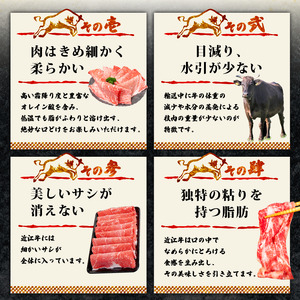 近江牛 赤身ステーキ 200g 100g×2枚 ステーキ 牛肉
