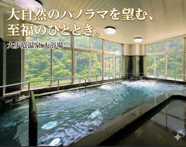 阿波すだち鶏 鍋セット ２～３人前 もも肉 祖谷そば すだち 国産 送料無料 【 鍋セット 】