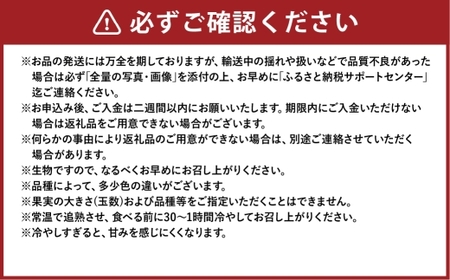 岡山白桃 エース 8～16玉 約4kg 岡山県産 【2026年7月上旬～8月下旬まで順次発送予定】 モモ もも 桃 白桃 果物 フルーツ 岡山県 倉敷市