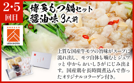 「上田商店」おすすめ定期便 【隔月定期便（年6回発送）】 水炊き もつ鍋 モツ鍋 セット ありた鶏 ぶつ切り ぶつ切 醤油 しょうゆ 味噌 みそ ちゃんぽん 博多 専門店 2人前 3人前 福岡県 福岡 九州 グルメ お取り寄せ