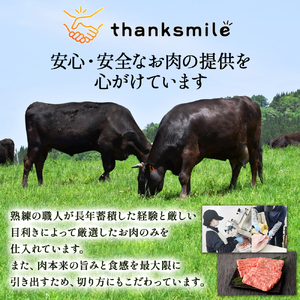 宮崎牛 ミスジ ステーキ  2枚 計300g  牛肉 黒毛和牛 赤身 霜降り ステーキ 