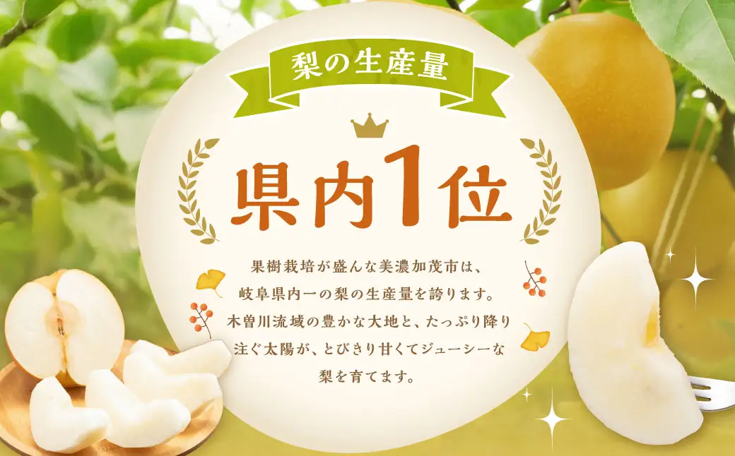 【ふるなびWEEK対象】 《先行予約》｢丸坂山田農園｣ 山之上梨 幸水 1箱 （ 約2.5kg ／ 5～8玉 ） 【2026年8月上旬～8月下旬 発送予定】