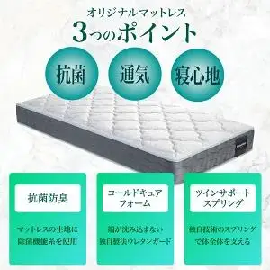 フランスベッド テレス01F 脚付きタイプ シングル マットレス付き