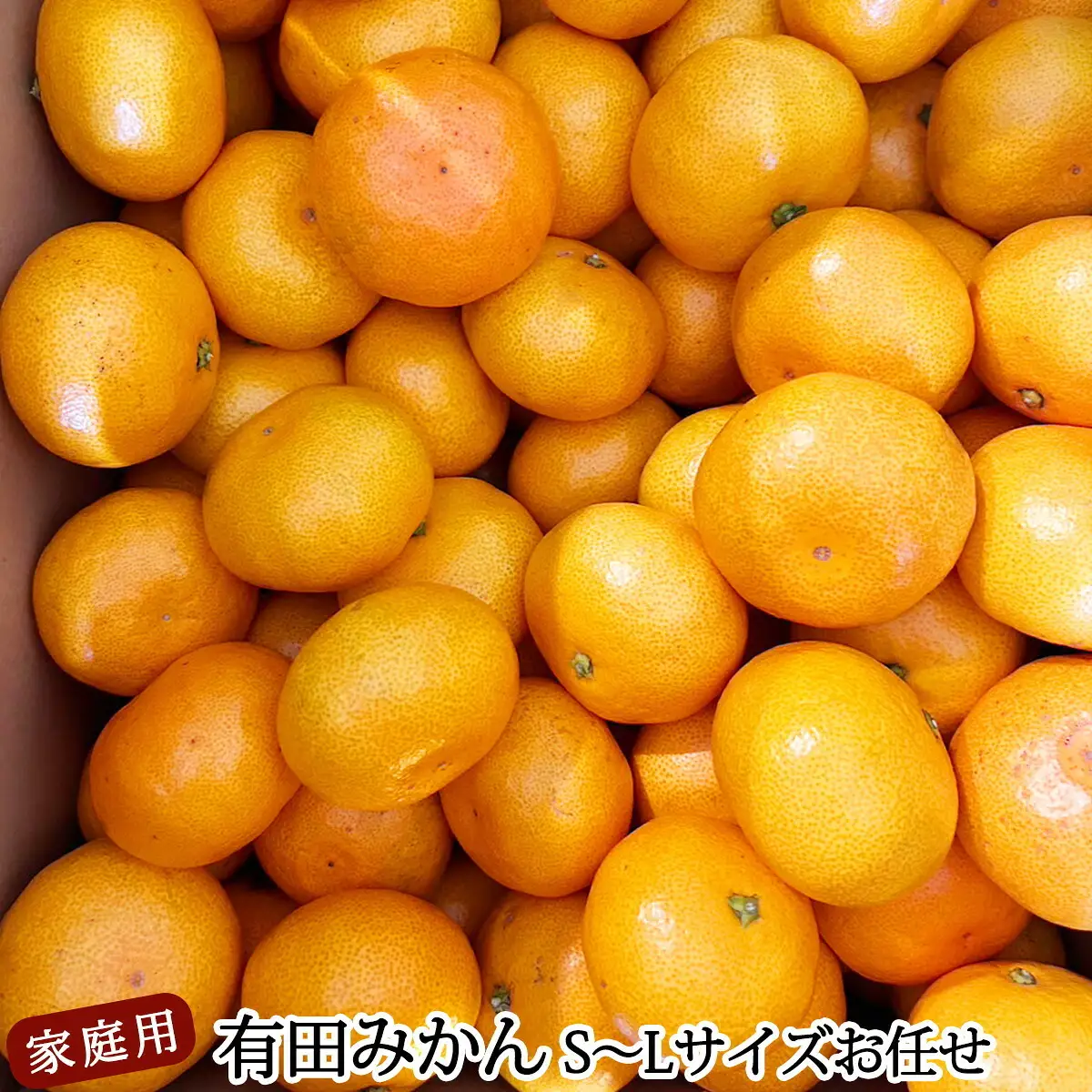 【2027年1月発送】ご家庭用 有田みかん 和歌山 S～Lサイズ 大きさお任せ 約2kg_DZ6100_01