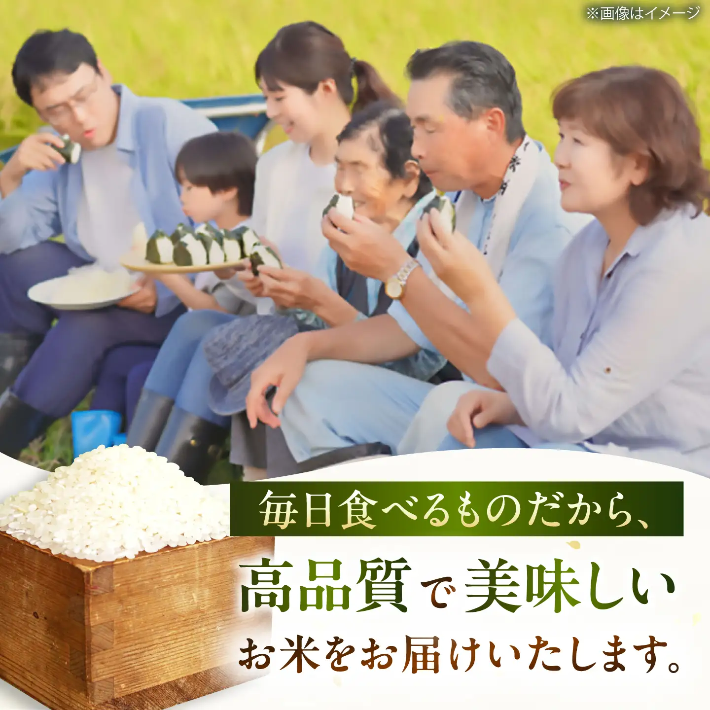 コシヒカリ5kg BIBV008 コシヒカリ