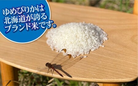 【9回定期便】 ゆめぴりか （2合×5パック）×9回 計13.5kg｜  最上品質米 ご飯 ごはん 米 お米 おこめ ライス こめ コメ おにぎり リゾット パエリア お弁当 小分けサイズ 真空 長期保存 家庭用 自宅用 産地直送 北海道 愛別町