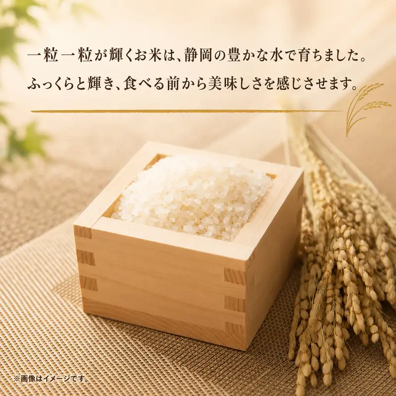 きぬむすめ 精米 白米 静岡県産 きぬむすめ【10kg(5kg×2)】