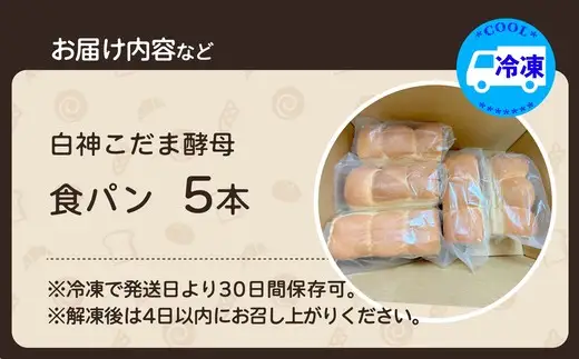 白神こだま酵母食パン（5本）　【45P3003】【岩谷製パン】