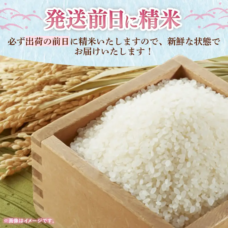 【令和7年産】 福岡県産 米 夢つくし 5kg ( 5kg×1袋 )【米 お米 精米 ブランド米 白米 ご飯 ごはん 夢つくし 5キロ 5kg 便利 福岡県産 旬 おにぎり お弁当 食品 福岡県 筑前町 送料無料 DT003】【価格改定】