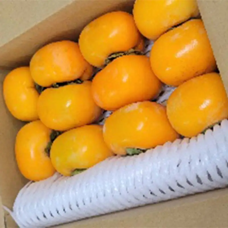 秋の味覚「平核無柿 2kg」 FSY-2726