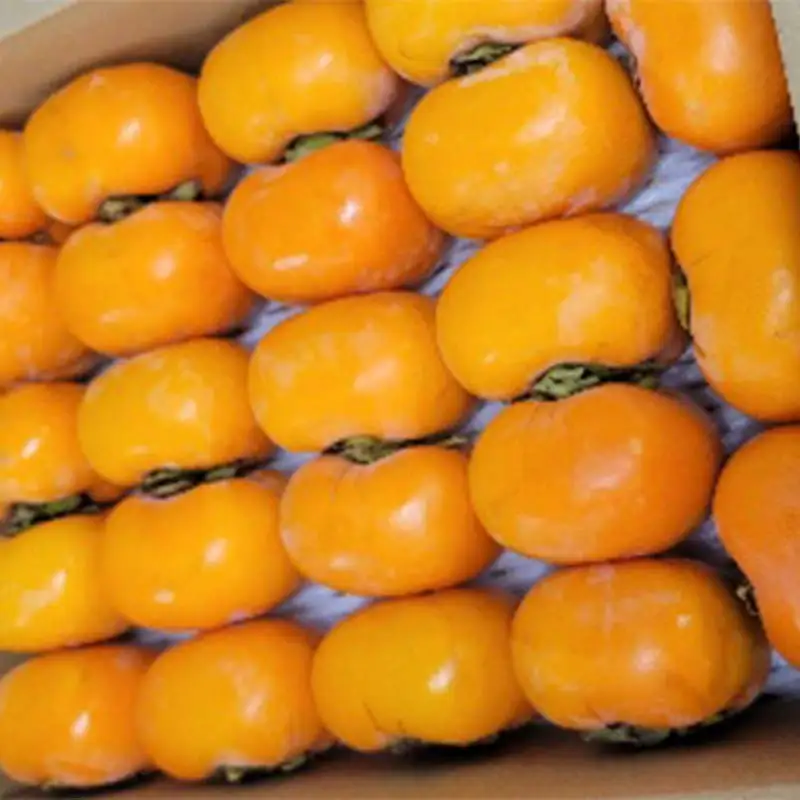 秋の味覚「平核無柿 4kg」 FSY-2727