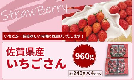 【先行予約】R9年1月下旬頃出荷開始 佐賀県産 いちごさん （ 240g×4P ）有明・潮風ファーム 直送品 果物 くだもの フルーツ イチゴ  B150-032